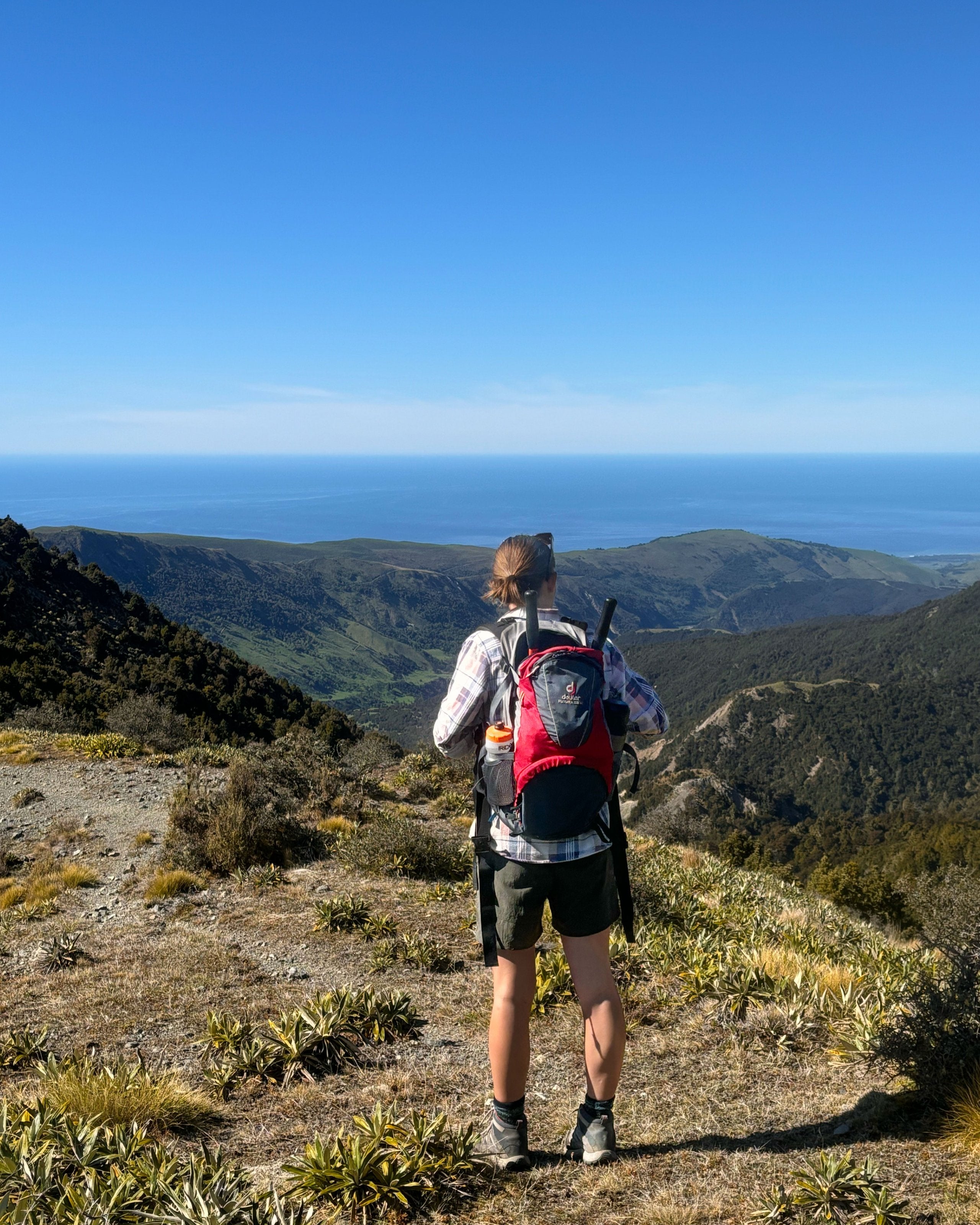 Ridgeline Track Walk