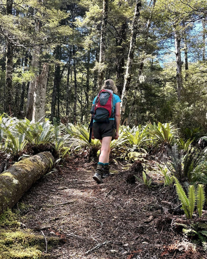 Valley of Feathers Walk